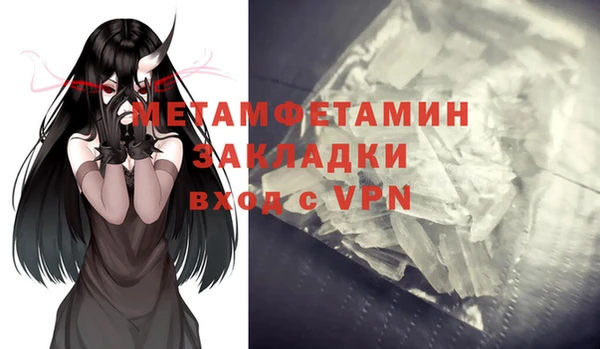 шишки Инта