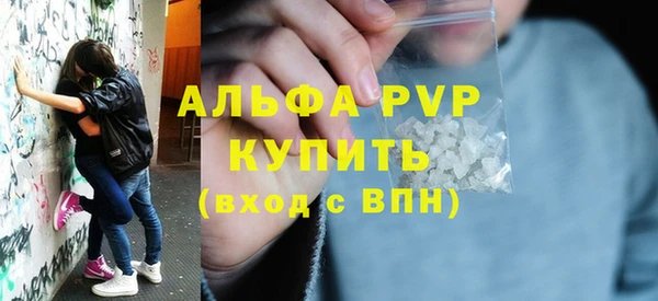 шишки Инта