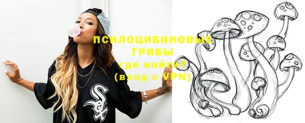шишки Инта