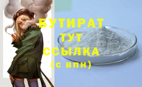шишки Инта