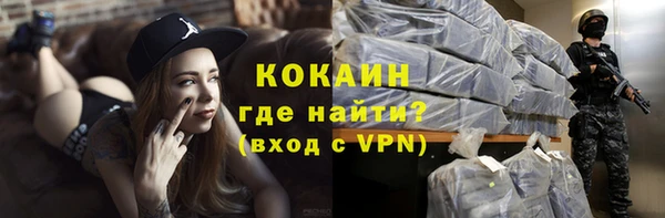 шишки Инта
