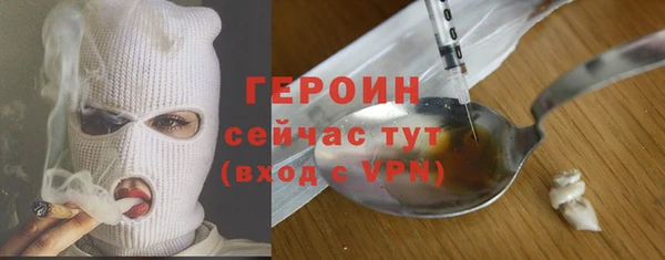шишки Инта
