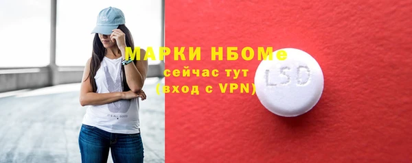 шишки Инта