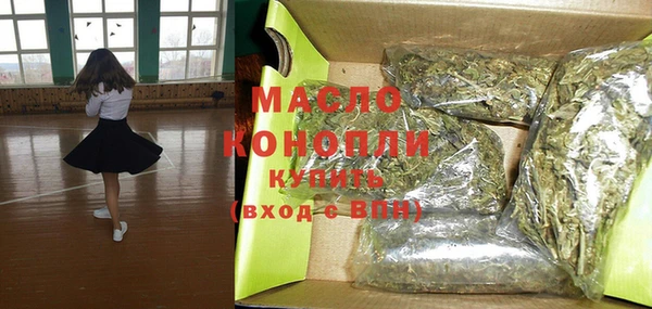 шишки Инта