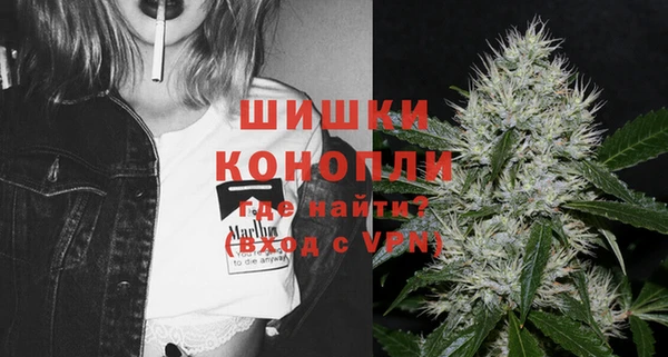 шишки Инта