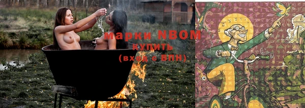 шишки Инта