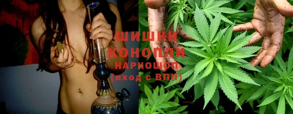 гашик Иннополис
