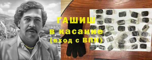 шишки Инта