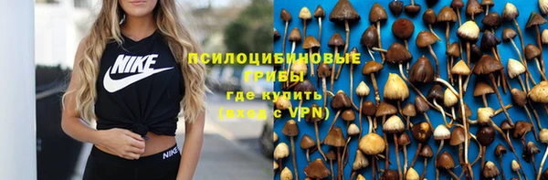 гашик Иннополис